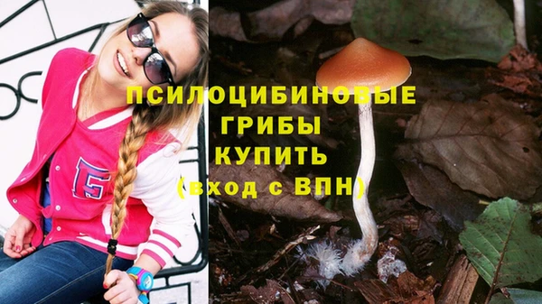 МДПВ Кинешма