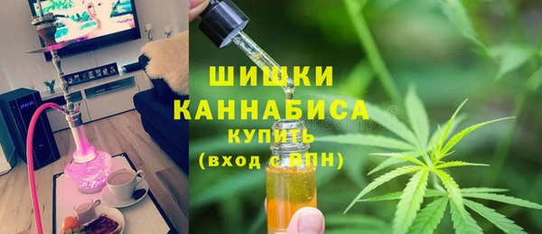 мдпв Киреевск